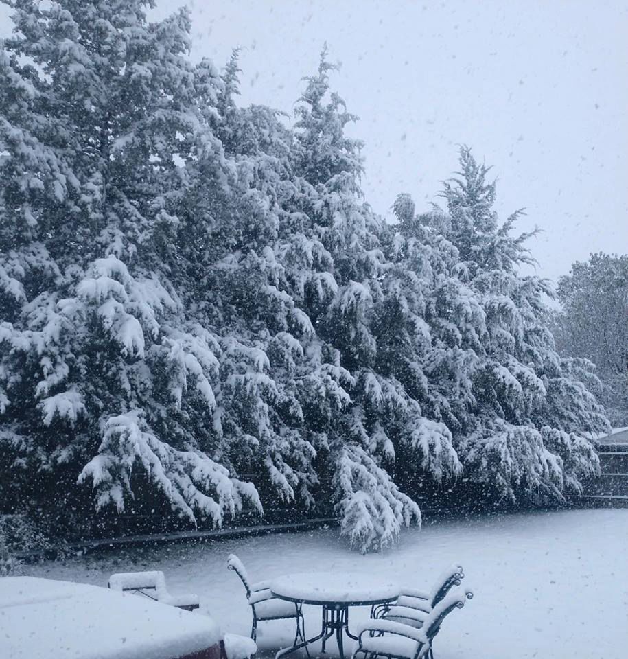 Snow, 10/14